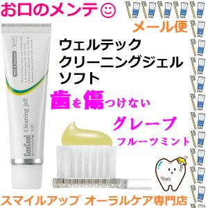 ウエルテック コンクール クリーニングジェル PMTC 60g 一般医療機器