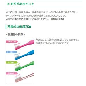 ラス5 虫歯ゼロへ DENT kodomo チ...の詳細画像2