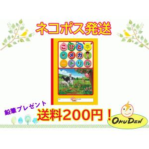 こびとメガドリル こびとづかん　小学生　幼稚園　保育園　グッズ　