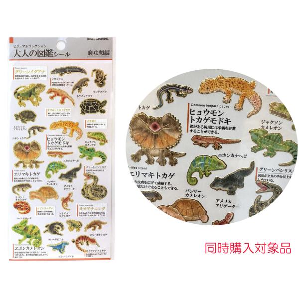 同時購入特典有　大人の図鑑シール 　爬虫類編　色紙　デコレーション素材