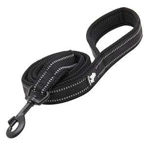 IKENOKOI犬用リード 3M反射素材 滑り止め 頑丈 小型犬 中型犬 大型犬用 お出かけ お散歩