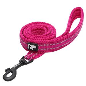 IKENOKOI犬用リード 3M反射素材 滑り止め 頑丈 小型犬 中型犬 大型犬用 お出かけ お散歩