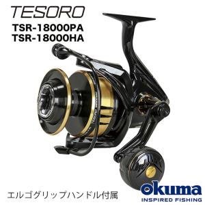 シマノ 19 ステラ SW 14000PG スピニングリール - 最安値・価格比較