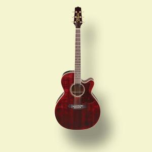 Takamine DMP551C タカミネ エレアコ 【専用ハードケース付】｜okumuragakki