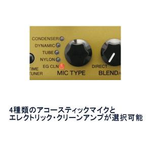 YAMAHA THR-5A ヤマハ ギターアンプの詳細画像1
