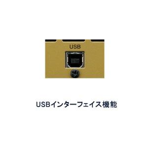 YAMAHA THR-5A ヤマハ ギターアンプの詳細画像3