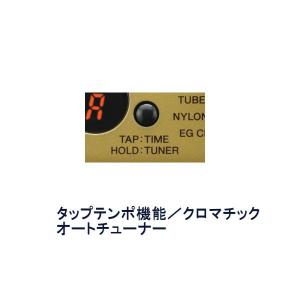 YAMAHA THR-5A ヤマハ ギターアンプの詳細画像4