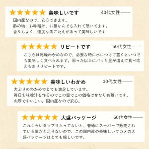 国内産 カットわかめ 70g送料無料 メール便...の詳細画像3