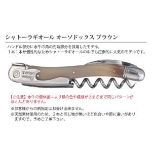 【 名入れ 】 シャトーラギオール ソムリエナ...の詳細画像2