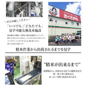 無洗米 米 5kg 洗うなんてもういいんだよ ...の詳細画像4