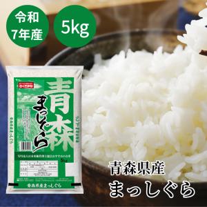 令和7年産 秋田県産 あきたこまち 10kg(5kg×2袋) まとめ買い 神明 日本