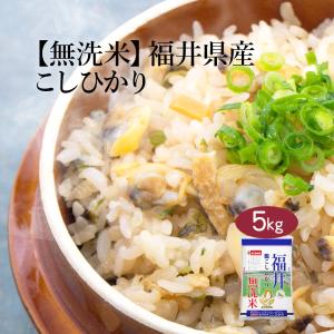 無洗米 5kg 米 お米 コシヒカリ 福井県産 お米 米5kg 無洗米 5キロ 送料無料 米無洗米 白米 精米 おこめ 宅配 送料無 生活応援 令和7年産 単一原料米