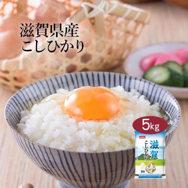 米 お米 米5kg 白米 送料無料 コシヒカリ 滋賀県産 安い 5kg おこめ 米5キロ お米5キロ...