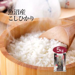 おくさま印 米 お米 米10kg 白米 送料無料 令和7年産 食べてほしいんや