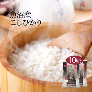 コシヒカリ 米 10kg 魚沼産 一等米 新米 白米（2025年 令和7年） : 酒