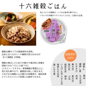 パックご飯 160g 48個 国産 十六雑穀ご...の詳細画像3