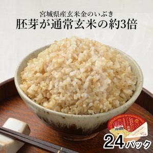 ご飯パック 金のいぶき玄米24個セット 120g おくさま印 お米 レトルト 小分け 長期保存 無添加 国産 レンジで簡単 温めるだけ 送料無料
