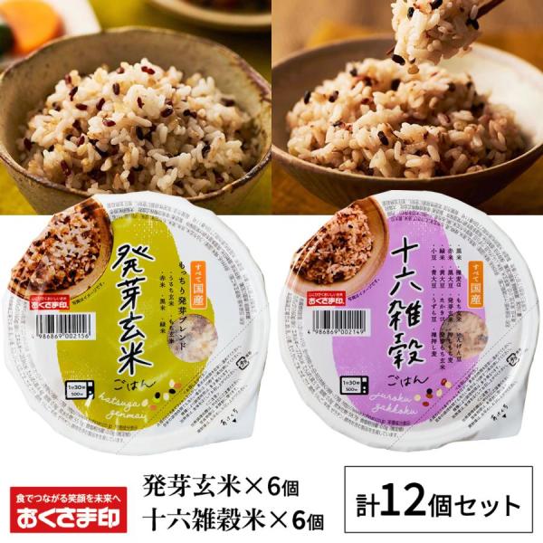 パックご飯 雑穀米 セット 2種12個 160g 雑穀 発芽玄米 十六雑穀 お米 無添加 国産 パッ...