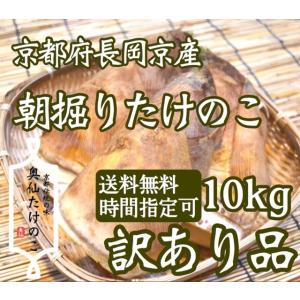 京都府長岡京産 朝掘りたけのこ 訳あり品 10kg ≪京たけのこ≫