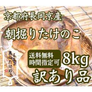 京都府長岡京産 朝掘りたけのこ 訳あり品 8kg ≪京たけのこ≫