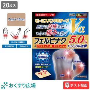 りるページ 日新薬品工業 【第2類医薬品】 湿布 湿布薬 シップ 温感ロキエフェクト