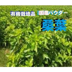 桑の葉パウダー500ｇ2袋入(1kg) 国産徳島県クワヨウ末●農薬不検出100％・送込・高級高圧蒸気滅菌・無添加100%
