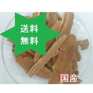 健康食品】レイシ 霊芝末500g 霊芝国産信州100% 茶葉 無添加 漢方