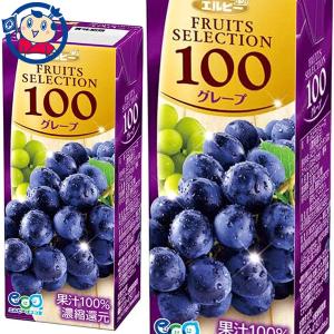 エルビー フルーツセレクション グレープ100% 200ml×24本入×2ケース｜大楠屋ストア Yahoo!店