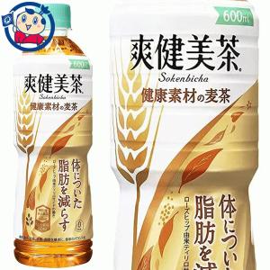 コカコーラ 爽健美茶 健康素材の麦茶 600ml×24本入×2ケース 発売日：2022年4月18日｜okusuya