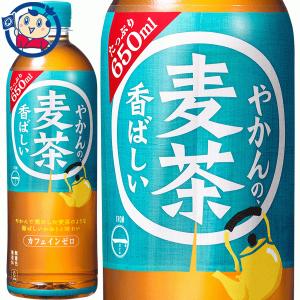 コカコーラ やかんの麦茶 650ml×24本×1ケース 発売日：2022年4月11日｜okusuya