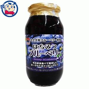 加藤美蜂園 はちみつブルーベリー 650g×6個入×1ケース｜okusuya