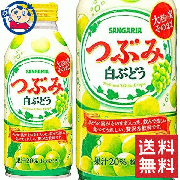 サンガリア つぶみ白ぶどう 380ml×24本×2ケース