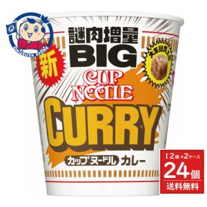 日清食品 ◇日清 カップヌードルBIG カレー 120G【12個セット】 : サン