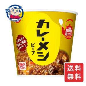 日清 カレーメシビーフ 107g×6個入×1ケース