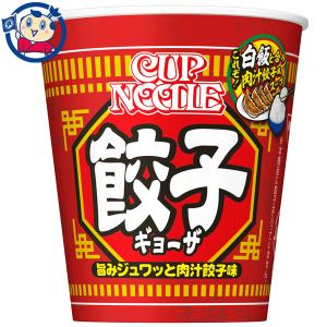 カップ麺 日清 カップヌードル 餃子 ビッグ 104g×12個入×1ケース 発売日：2022年11月7日