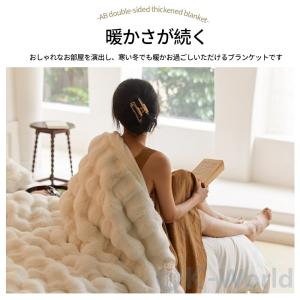 毛布 暖かい ブランケット ふわふわ シングル...の詳細画像4