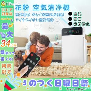 空気清浄機 2022最新型 おすすめ 花粉対策 30畳対応
