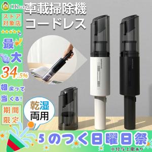 ハンディクリーナー コードレス 車載掃除機 車 強力
