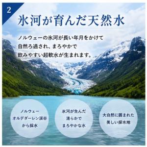 北欧 ノルウェー ミネラルウォーター 500m...の詳細画像2