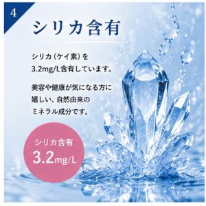 北欧 ノルウェー ミネラルウォーター 500m...の詳細画像4