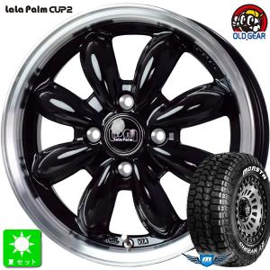NANKANG（ナンカン） 245/30R21 NANKANG AS-2 +(Plus) タイヤ サマー