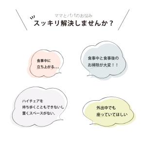 イングリッシーナ ファスト ポイント10倍 購...の詳細画像4