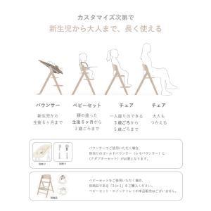 サイベックス クリック & フォールド チェア...の詳細画像1
