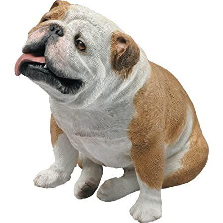【並行輸入品】 Sandicast Original Size Begging Bulldog Sc...