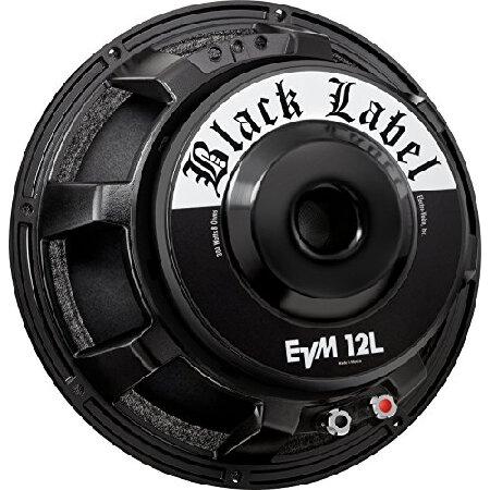 【並行輸入品】 Electro-Voice EVM12L BlackLabel 12" Zakk W...