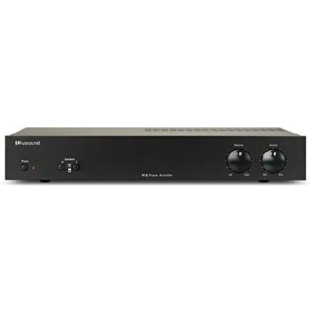 【並行輸入品】 2CH Dual Source 75W Amplifier