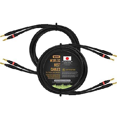 WORLDS BEST CABLES 10フィート 同軸オーディオマニアスピーカーケーブルペア カス...