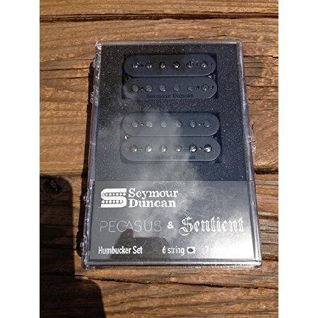 【並行輸入品】 Seymour Duncan Pegasus / Sentient 6 String...