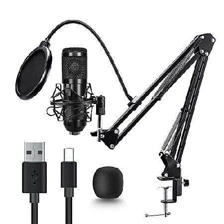 Podcast Microphone Professional 192KHz/24BIT USB C...