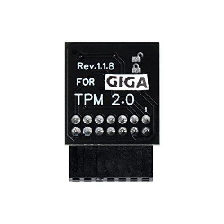 【並行輸入品】 GIGABYTE GC-TPM20プラットフォームアクセサリー用TPM 2.0セキュ...